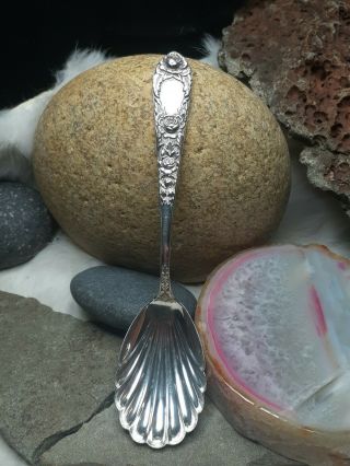Antique Htf 39g Rose Shell Cup Sugar Spoon Large S Kirk&sons 6 " Sterling Silver