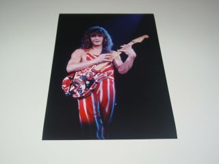 Van Halen 8x12 Photo Eddie Edward Rare Live Concert Diver Down Tour 1982 58