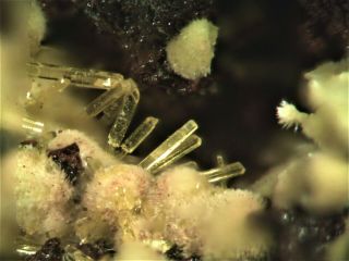 Uranophane Beta Rare Mineral Micromount From France