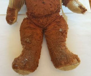 Antique Early 1900 ' s STEIFF ?? 12 