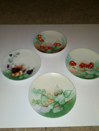 (4) Thomas Bavaria Sevres Porcelain Hand Painted Plates 6 "