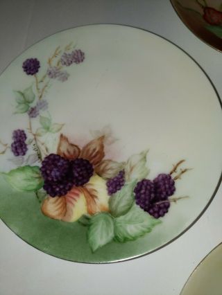 (4) Thomas Bavaria Sevres Porcelain Hand painted plates 6 