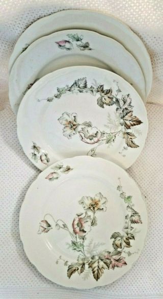 7 John Edwards England Porcelaine Deterre Wind Flower Salad Plates 7 5/8 " Antique