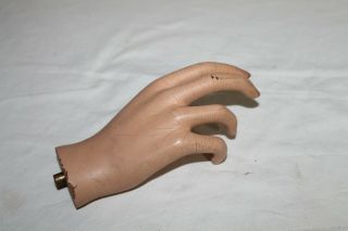 Vintage Mannequin Female Right Hand Curved Fingers