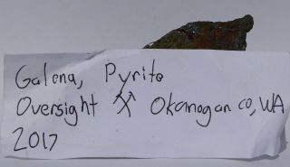 Very Rare Locality GALENA w PYRITE - - Oversight mine,  Nespelem,  Washington - - Sawn 3