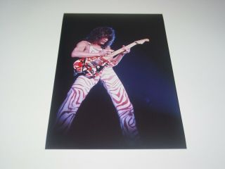 Van Halen 8x12 Photo Eddie Edward Rare Live Concert Diver Down Tour 1982 21