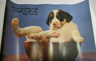 Vintage 1980 Argus Inspirational Poster 21 " X 14 " Dog Life