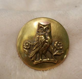 Antique,  Vtg.  Brass Picture Button,  Owl,  Birds,  1 - 1/4 "