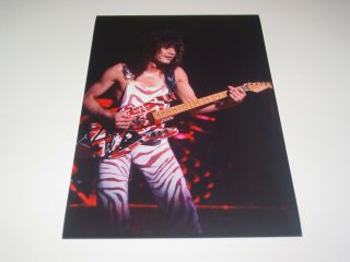 Van Halen 8x12 Photo Eddie Edward Rare Live Concert Diver Down Tour 1982 25