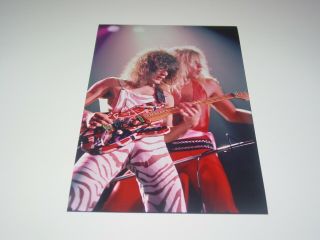 Van Halen 8x12 Photo Dlr Eddie Rare Live Concert Diver Down Album Tour 1982 1