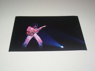 Van Halen 8x12 Photo Eddie Edward Rare Live Concert Diver Down Tour 1982 33