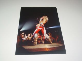 Van Halen 8x12 Photo David Lee Roth Rare Concert Diver Down Album Tour 1982 23