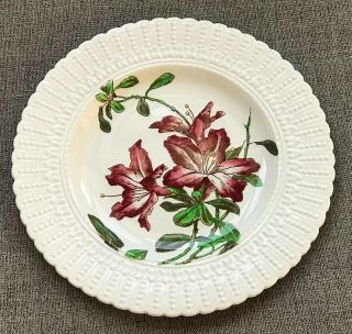 Royal Cauldon Flower Series 2479 Antique Plate 9 3/4”