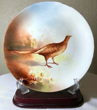 Antique 1891 - 1920 LS&S Limoges France Pheasant Hand Painted & Signed Plate 9.  25 