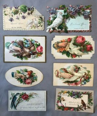 8 1880s Bird Floral Victorian Salesman Sample Calling Card Antique Die Cut Scrap