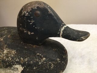 Vintage Duck Decoy.  Cork Body,  Wood Head,  Ring bill maybe? Very old. 3