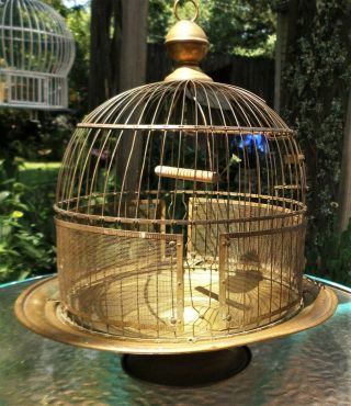 Antique Brass Pedestal Bird Cage Made By Hendryx Bee Hive Shape Patina