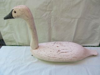 Antique Vintage Early 1900’s Signed White Wooden Swan Decoy / F&s / Shape