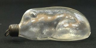 RARE Circa 1870 ' s MOLD BLOWN FIGURAL PIG FLASK BOTTLE WITH TIN LID 2