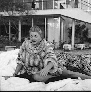 Esther Williams At Her Swimming Pool; Rare Contact Sheet With 11 Images