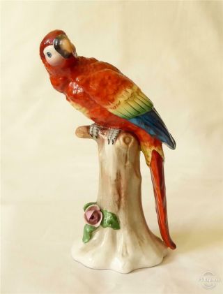 Antique Early 20th Century German Sitzendorf Porcelain Parrot
