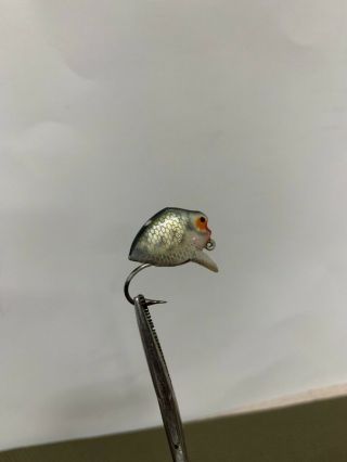 (rare) Heddon Punkie Spook Fly Fishing Lure Pumpkin Seed