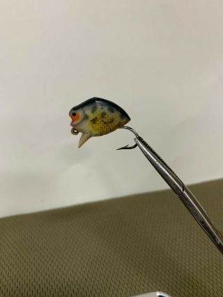 (Rare) Heddon Punkie Spook Fly Fishing Lure Pumpkin Seed 2