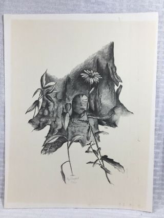 Liz Shugart Signed Art Print.  Fairy House Tree Trunk.  Vintage Black / White