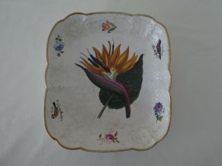Antique Creamware Pottery Bird of Paradise Botanical Dish 2