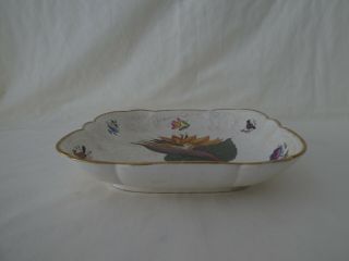 Antique Creamware Pottery Bird of Paradise Botanical Dish 3