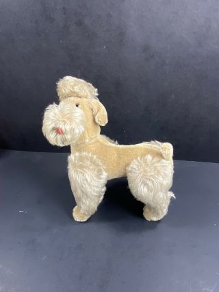 Vintage 9 " Steiff Snobby Poodle Dog Beige Mohair Missing Nose Needs Tlc