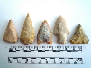 5 X Native American Arrowheads Found In Texas,  Dating From Approx 1000bc (2208)