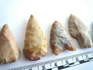5 x Native American Arrowheads found in Texas,  dating from approx 1000BC (2208) 3