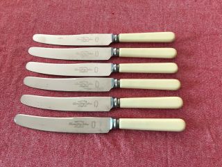 Great Set Of 6 Thomas Ward & Sons Faux Bone Handle Dinner Knives 23.  25cm
