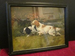 Collectable Rare Vintage Art Print Hunting Dogs In The Field By G Muss Arnolt