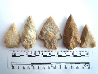 5 X Native American Arrowheads Found In Texas,  Dating From Approx 1000bc (2227)