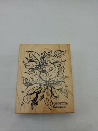 Rare Psx K - 784 Poinsettia Euphorbiaceae Flower Botanical Wood Mount Rubber Stamp