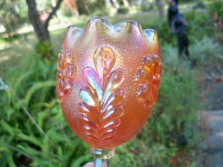 Antique Northwood Glass Marigold DAISY & PLUME Carnival Stemmed Rosebowl Compote 3