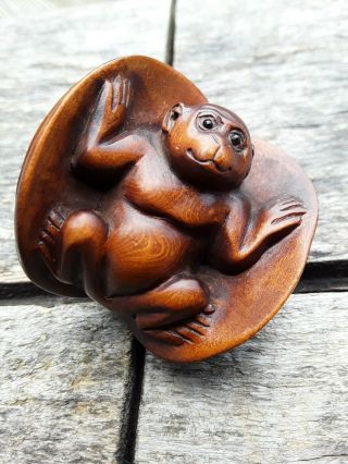 Vintage Carved Wooden Monkey And Nut Shell Netsuke With Glass Eyes And Signed