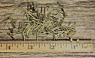 1/2” Solid Brass Brads 100 Nails Small Head 18 Gauge Escutcheon Pins Usa Made