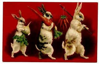 Trio Of Bunny Rabbits With Carrots Antique Easter Fantasy Postcard - B495