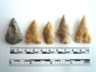 5 X Native American Arrowheads Found In Texas,  Dating From Approx 1000bc (2234)