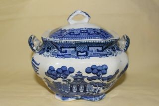 Antique 1911 Buffalo Pottery Blue Willow Semi - Vitreous Square Sugar Transferware