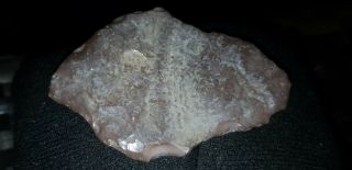 Stunning Neolithic Large Flint Tool Found In England L58a
