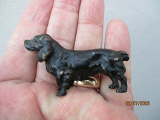 An Antique Austrian? Cold Painted Bronze Figure Of A Spaniel Dog C1910