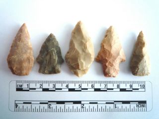 5 X Native American Arrowheads Found In Texas,  Dating From Approx 1000bc (2225)