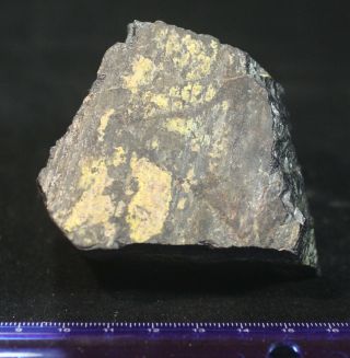 Large Columbite Crystal With Parsonite: Mica Lode Pegmatite,  Colorado - Rare