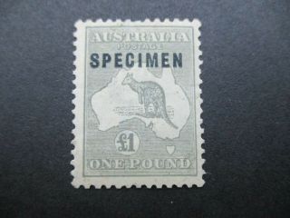 Kangaroo Stamps: £1 Grey 3rd Watermark Specimen - Rare - (k187)