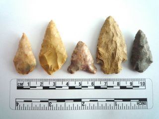 5 X Native American Arrowheads Found In Texas,  Dating From Approx 1000bc (2247)