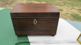 Lovely Antique Wooden Tea Caddy,  2 Compartments,  Bone (?) Estucheon,  And Knob